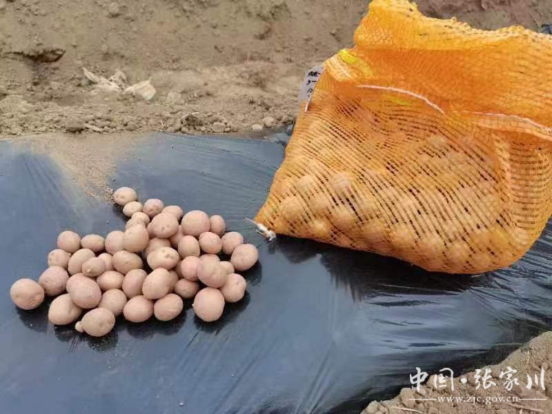 微信图片_20230426100334