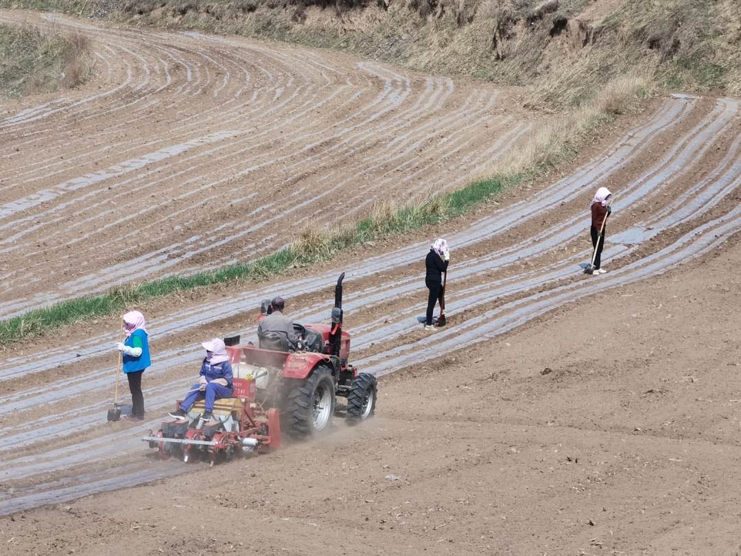 1682334734202398.jpeg?x-oss-process=style/w10 WechatIMG1281.jpeg?x-oss-process=style/w10