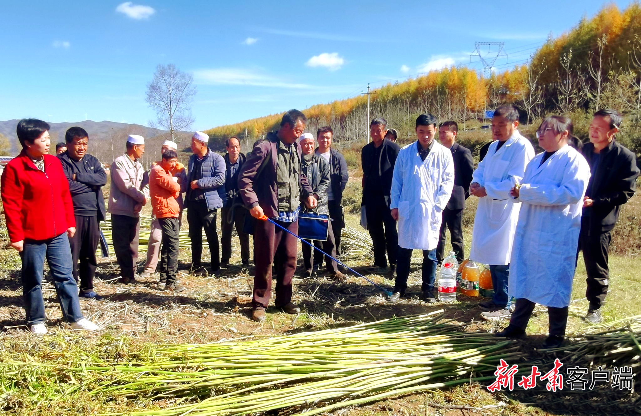 FZ007236291522_A4797963