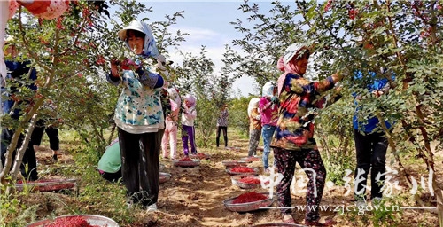 微信图片_20201020172624