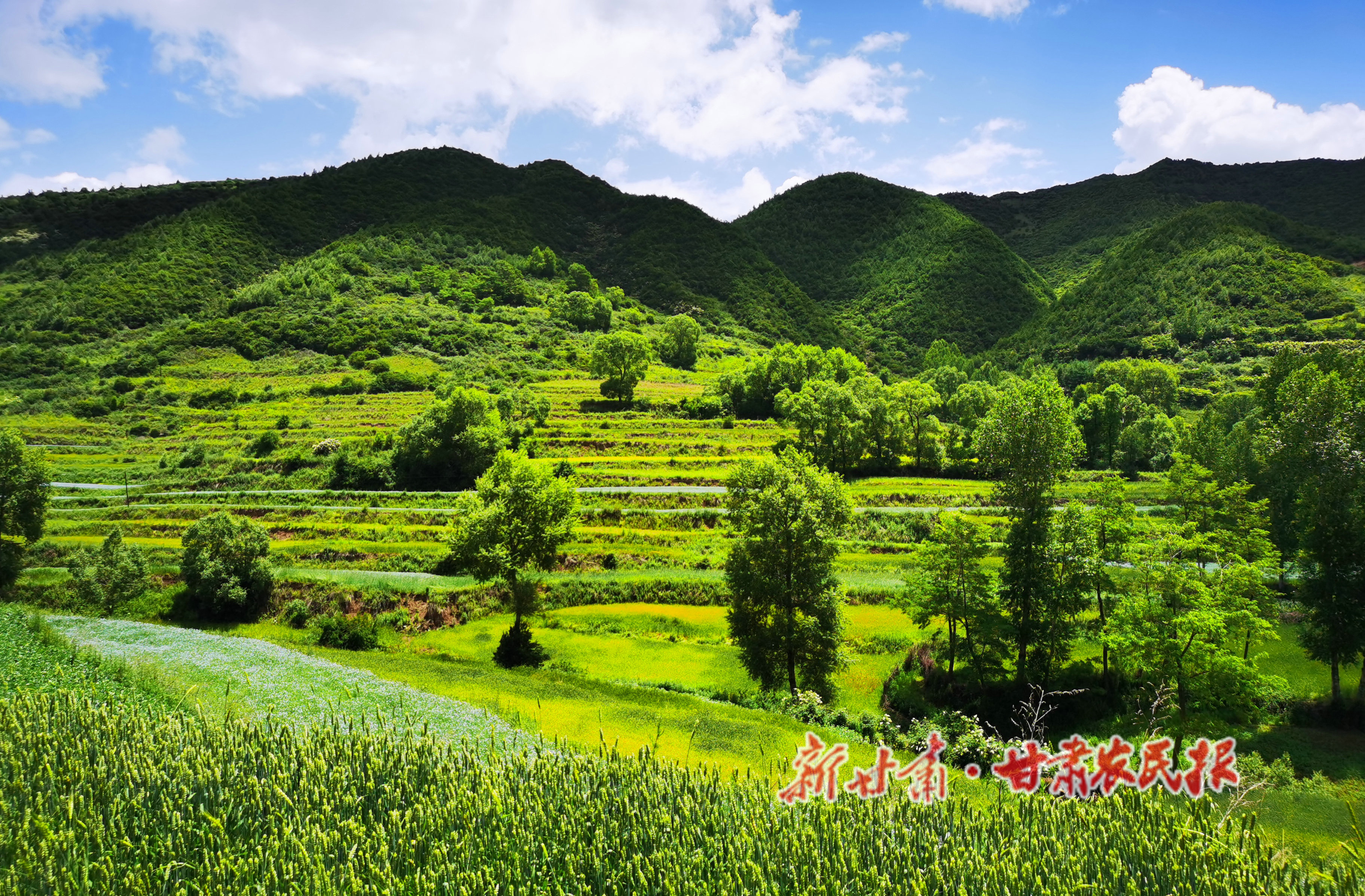 微信图片_20220629082158